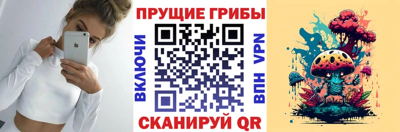 площадка наркотические препараты  Кувандык  Галлюциногенные грибы мухоморы 